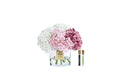 Classic Hydrageneas Bouquet-pink