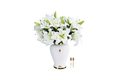 Imperal Liles-Ivory White/indigo