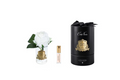 Rose Bud In Clear White-Black Box/gold
