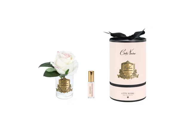 Rose Bud In Clear Blush-Pink Box/gold