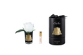 Rose Bud In Black White-Black Box/gold