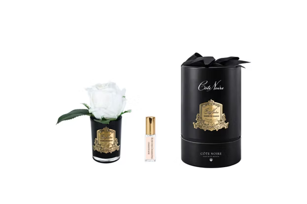Rose Bud In Black White-Black Box/gold