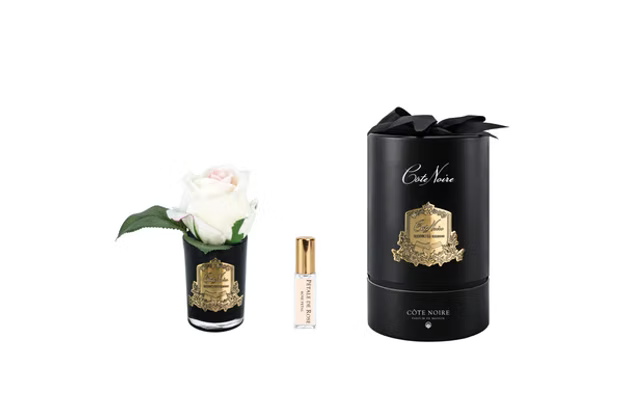 Rose Bud In Black Blush-Pink Box/gold