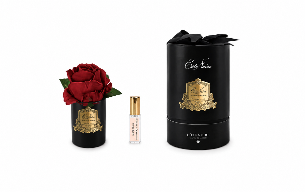 Rose Bud In Black Red-Black Box/gold