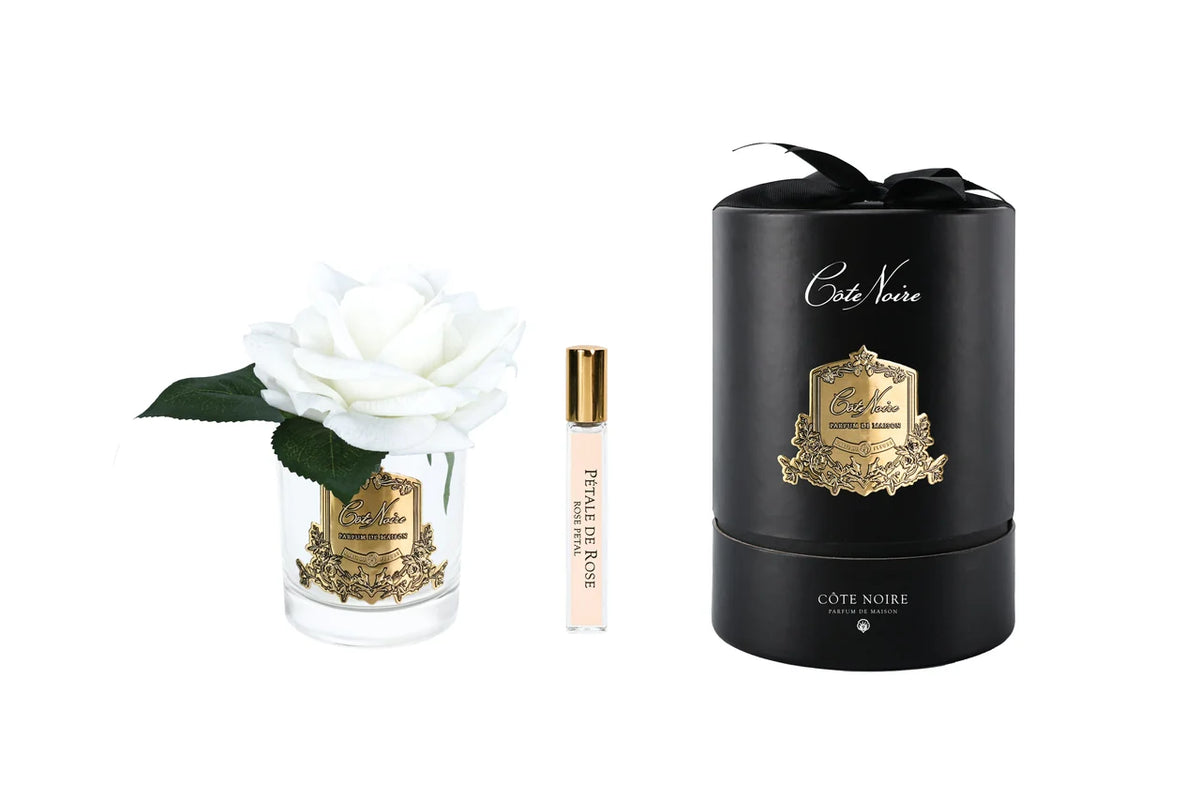 French Rose In Clear White-Black Box/gold