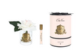 French Rose In Clear Blush-Pink Box/gold