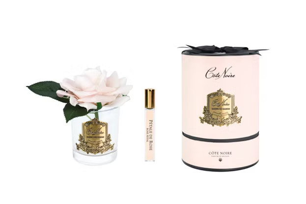 French Rose In Clear Champagne Pink-Pink Box/gold