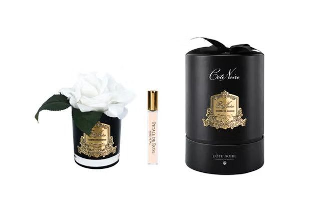 French Rose In Black White Pink-Black Box/gold