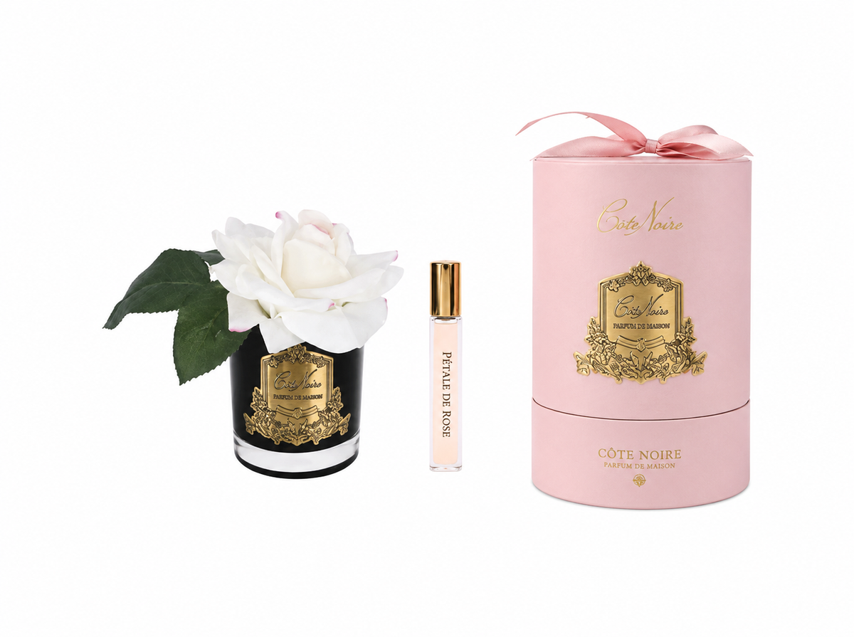 French Rose In Black Blush-Pink Box/gold