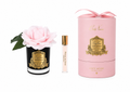 French Rose In Black French Pink-Pink Box/gold