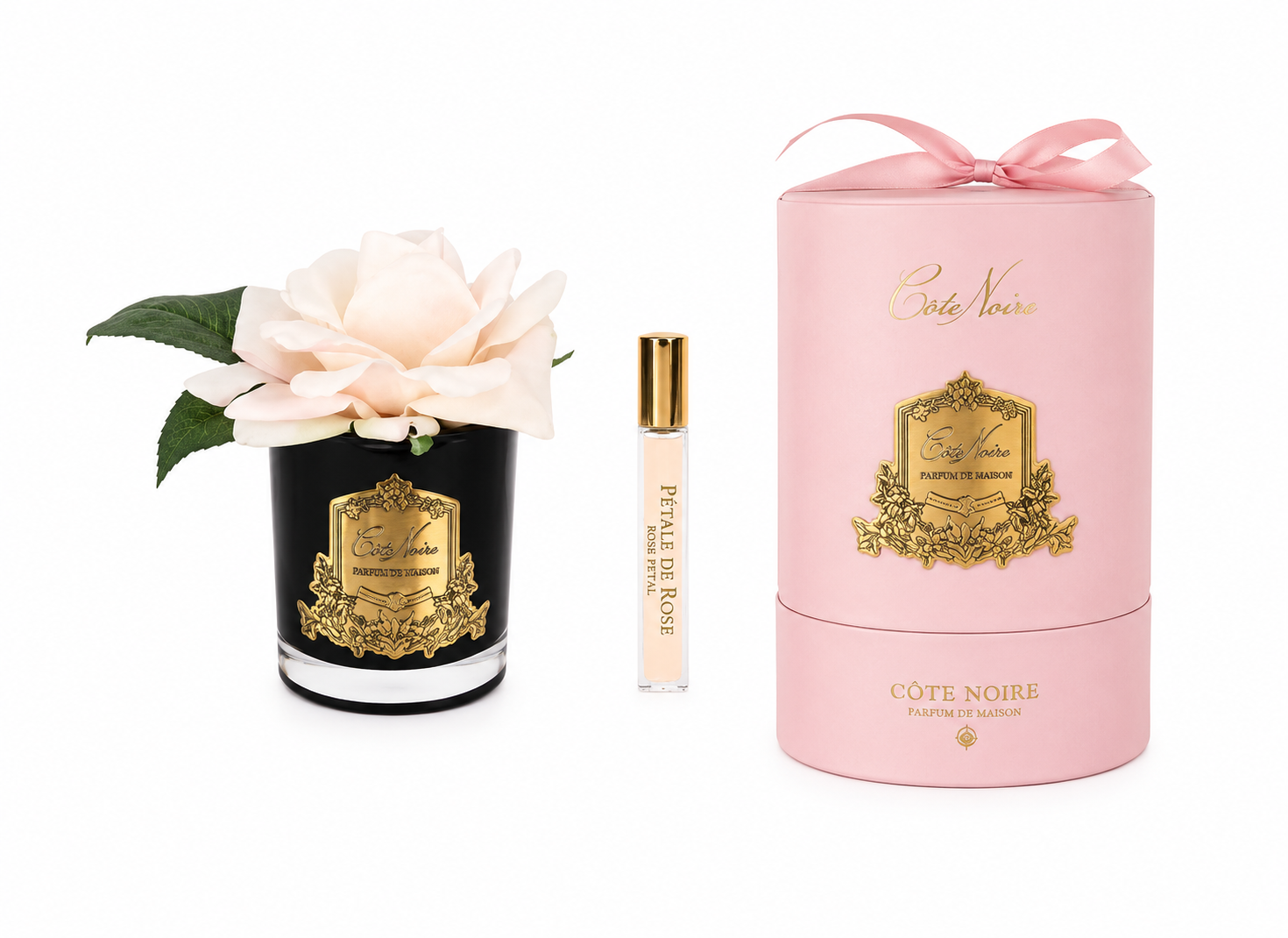 French Rose In Black Champagne Pink-Pink Box/gold