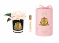 French Rose In Black Champagne Pink-Pink Box/gold