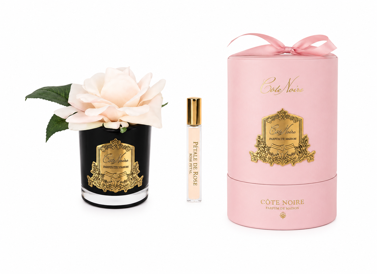 French Rose In Black Champagne Pink-Pink Box/gold