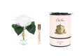 Charente Rose In Ivory Blush