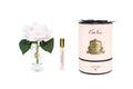 Charente Rose In French Pink