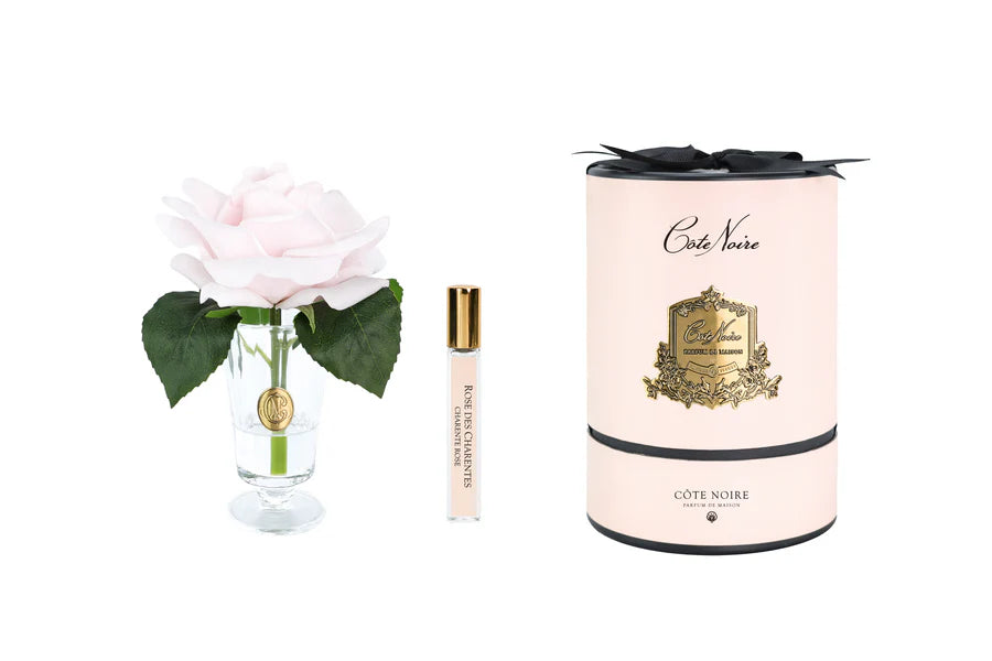 Charente Rose In French Pink