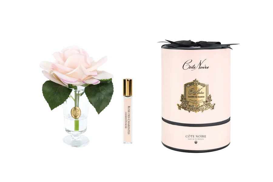 Charente Rose In Champagne Pink