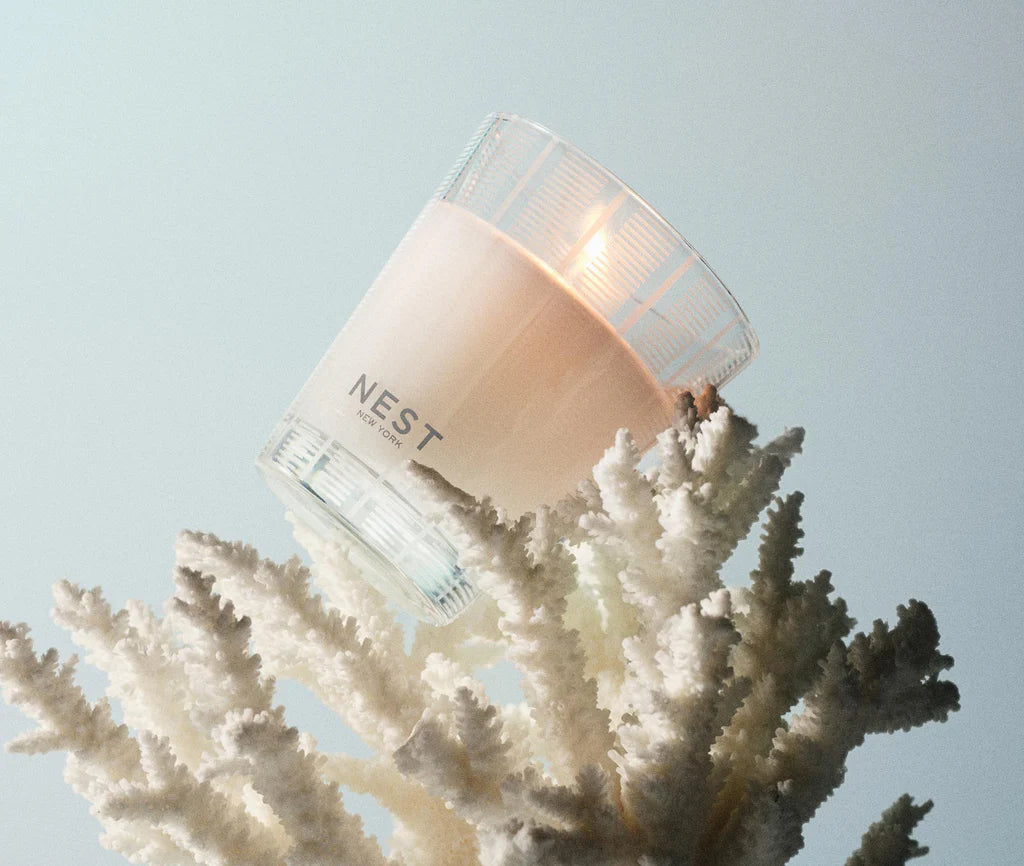Coconut & Palm Classic Candle 230 G