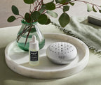 Wild Mint & Eucalyptus Set De Difusor 15 Ml
