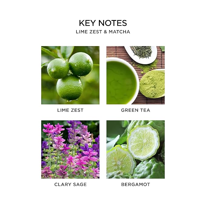 Lime Zest & Matcha Misting Diffuser Oil 15 Ml