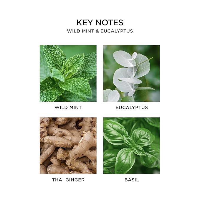 Wild Mint & Eucalyptus Diffuser Oil Drops 15 Ml