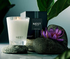 Forest Rain Classic Candle 230 G