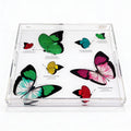 Butterfly Acid Green Acrylic Square Tray 18 x 18