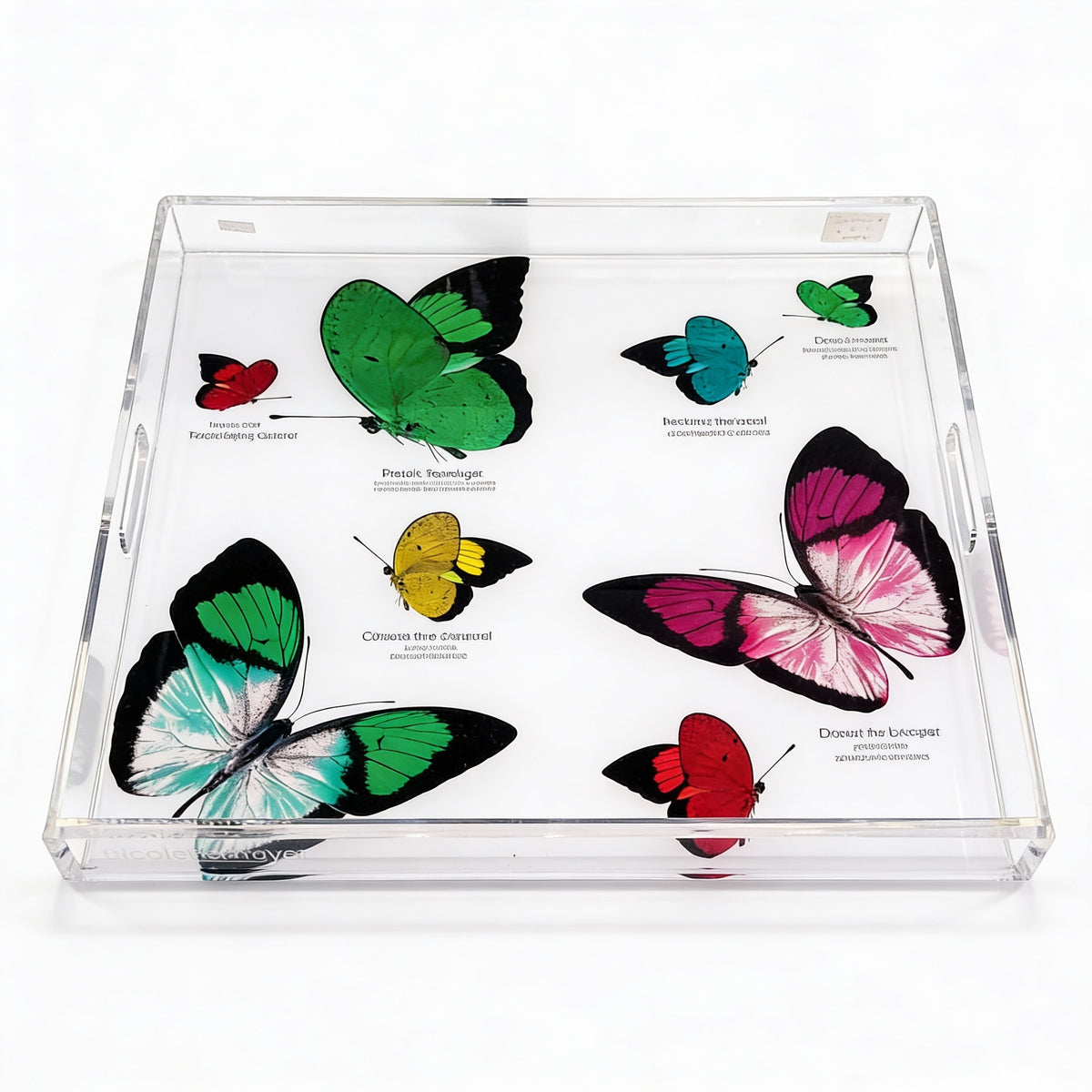 Butterfly Acid Green Acrylic Square Tray 18 x 18