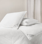 Buxton Down Pillow – Soft, Standard