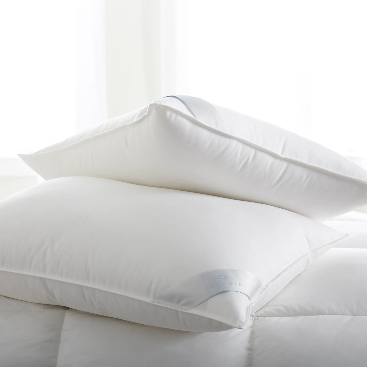 Almohada sin Plumón Bergen – Suave, Estándar