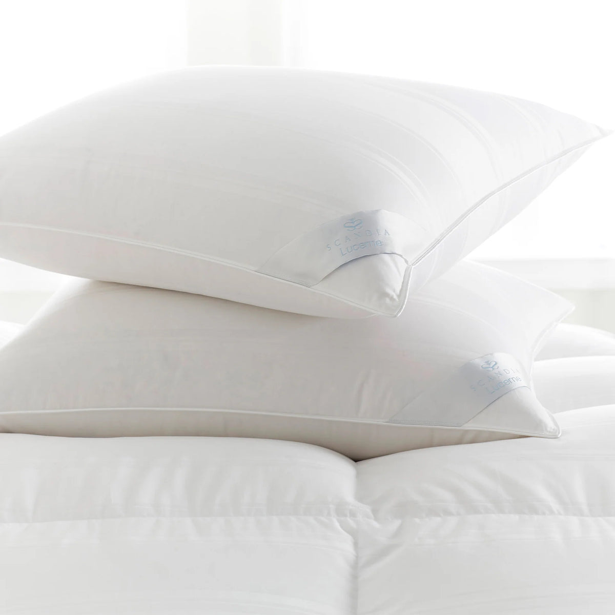 Almohada de Plumón Lucerne – Media, Estándar