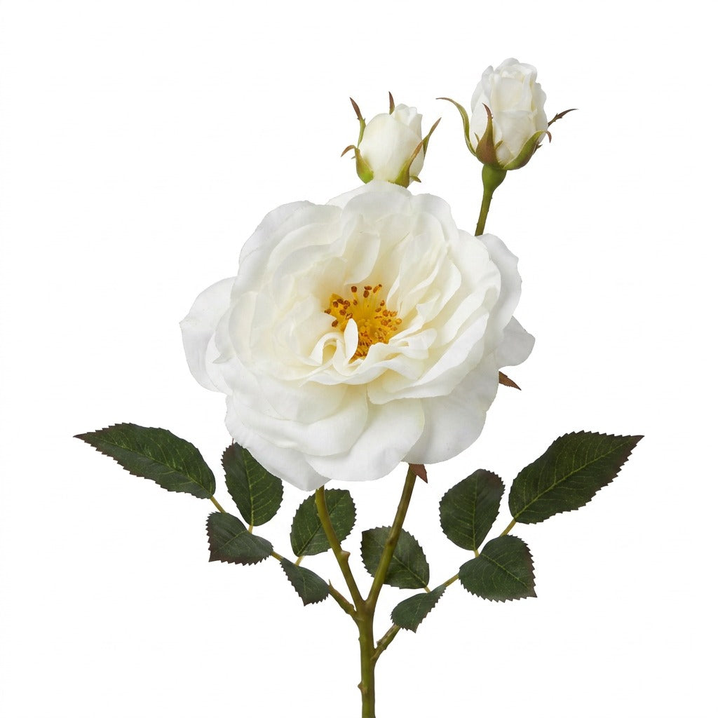 Rose Spray White Rt 59cm