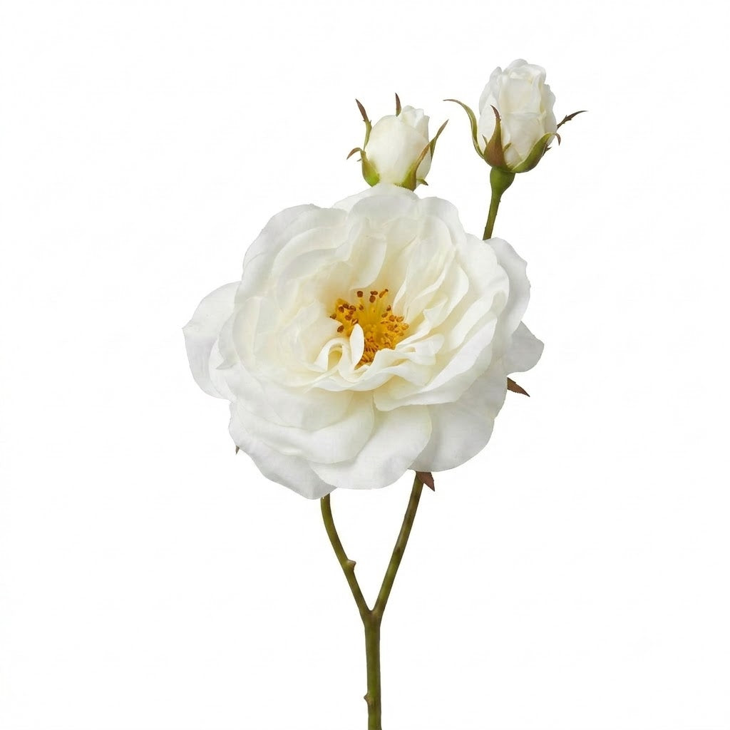 Rose Spray White Rt 59cm