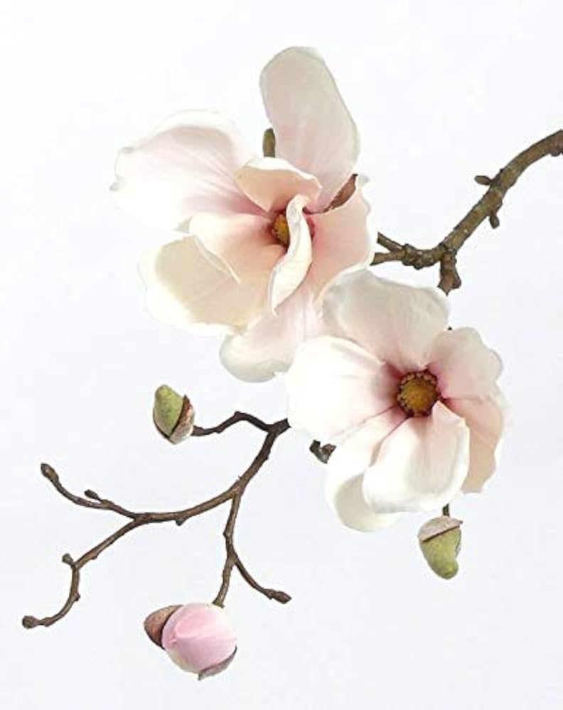 Magnolia Spray Pink Lt 78cm