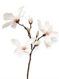 Magnolia Spray Pink Lt 78cm