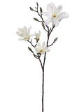 Magnolia Spray Cream 78cm