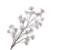 Blossom Spray Cream 184 Cm