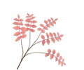 Leaf Spray Peach 105 Cm