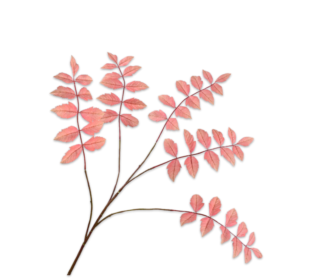Leaf Spray Peach 105 Cm