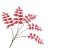 Leaf Spray Red 105 Cm