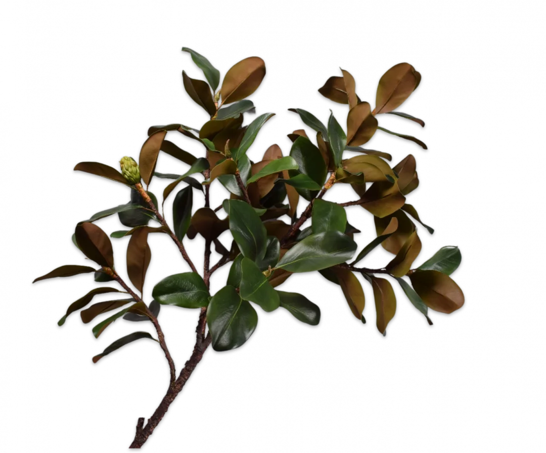 Magnolia Spray Grn/mve 152 Cm