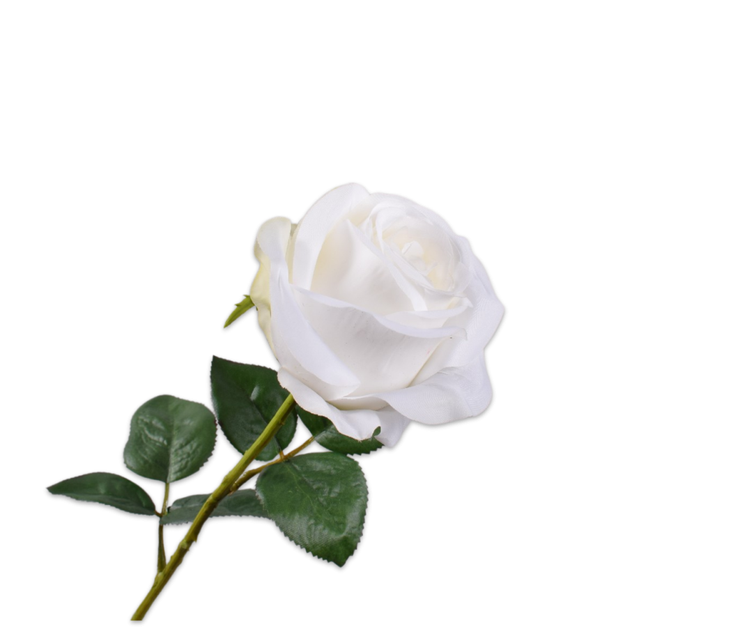 Rose Stem Cream Rt 57 Cm