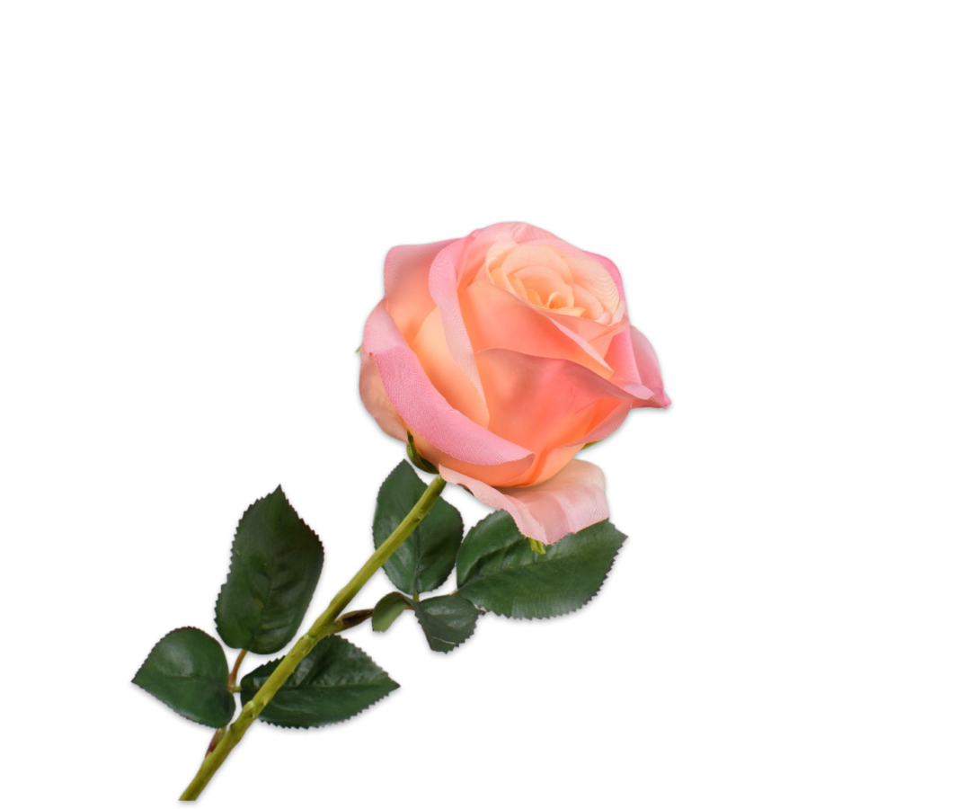 Rose Stem Peach Rt 57 Cm