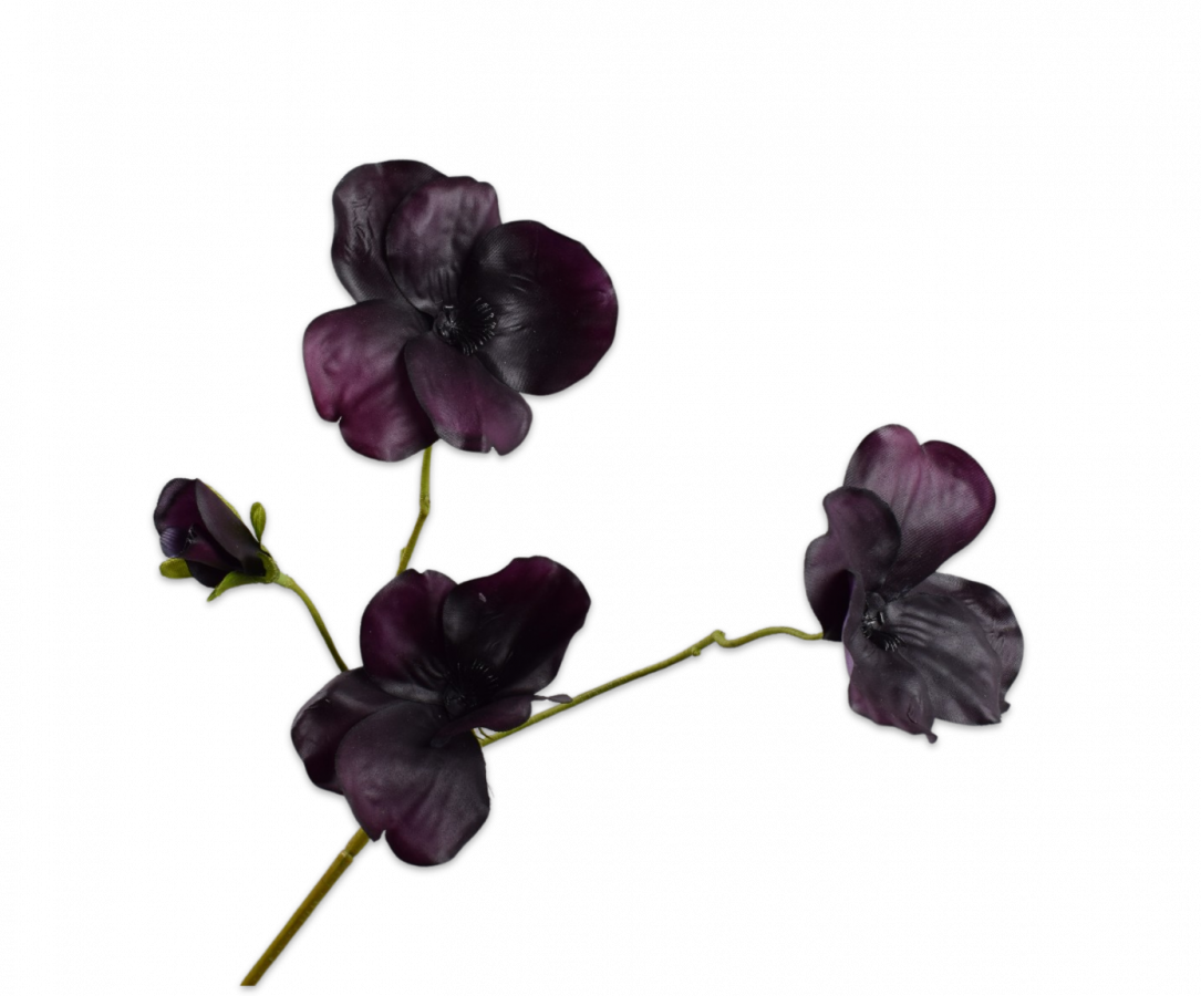 Pansy Spray Prp Dk Rt 63 Cm