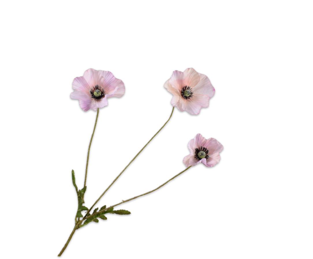 Poppy Spray Pink Lt Rt 81 Cm