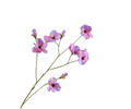 Pansy Spray Lavend Rt 103 Cm