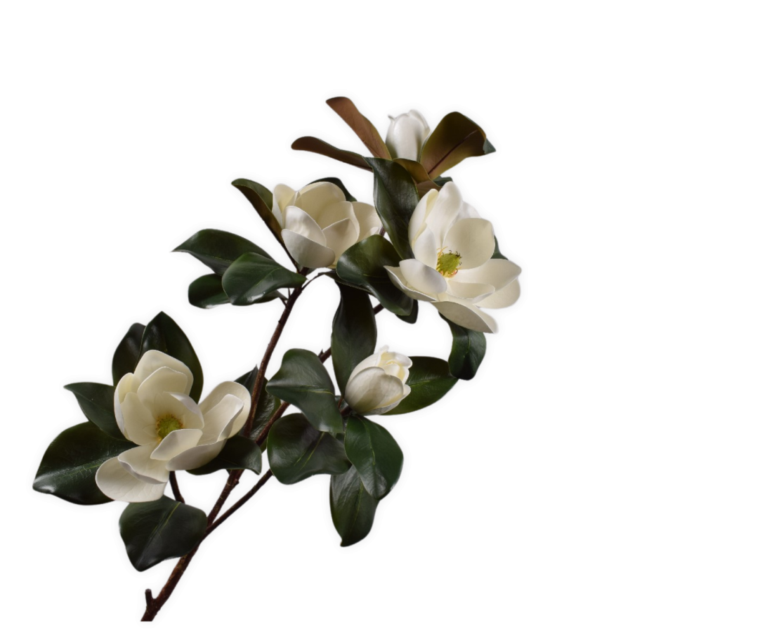 Magnolia Spray White 121 Cm