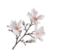 Magnolia Spray Cr/pnk 101 Cm