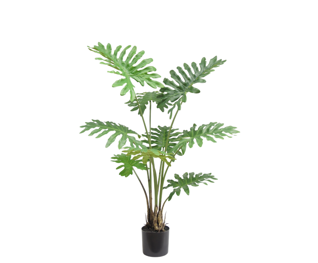 Philodendron Plant Green 115 Cm