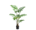 Philodendron Plant Green 115 Cm